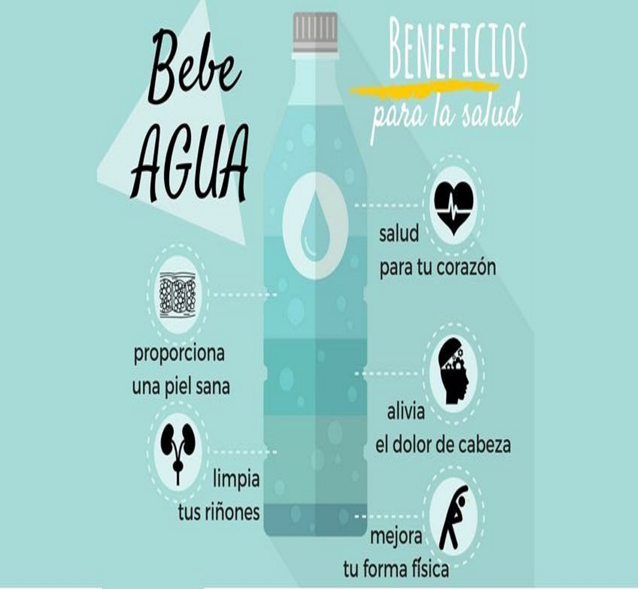 Proceso de produccion La Gotita